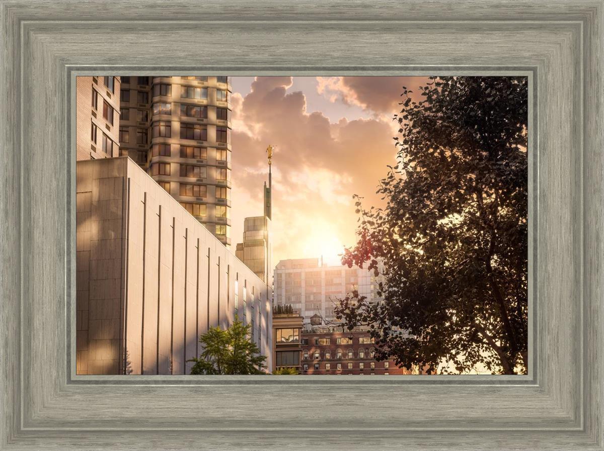 Manhattan Solace