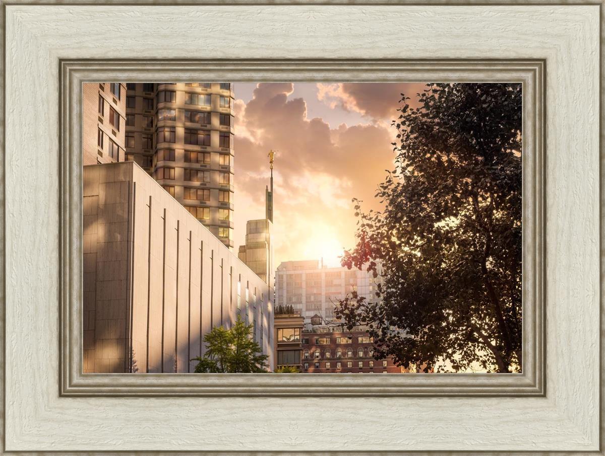 Manhattan Solace