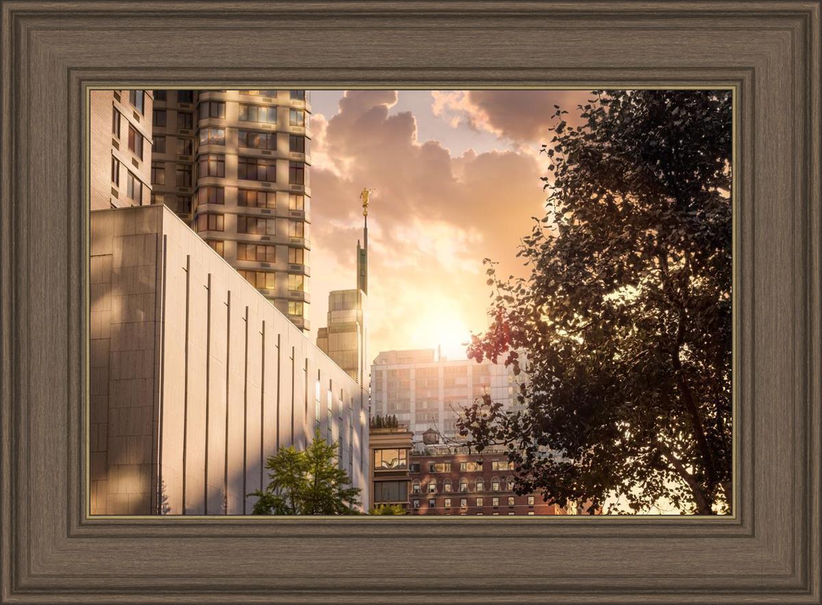 Manhattan Solace