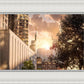 Manhattan Solace