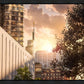 Manhattan Solace