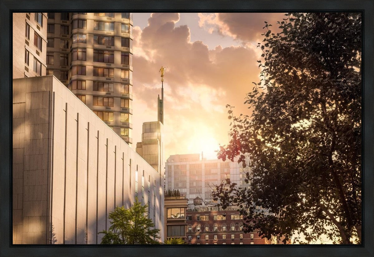 Manhattan Solace