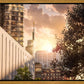 Manhattan Solace