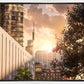 Manhattan Solace