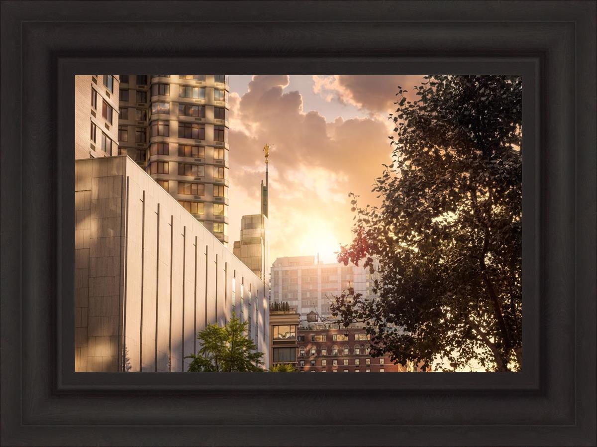 Manhattan Solace