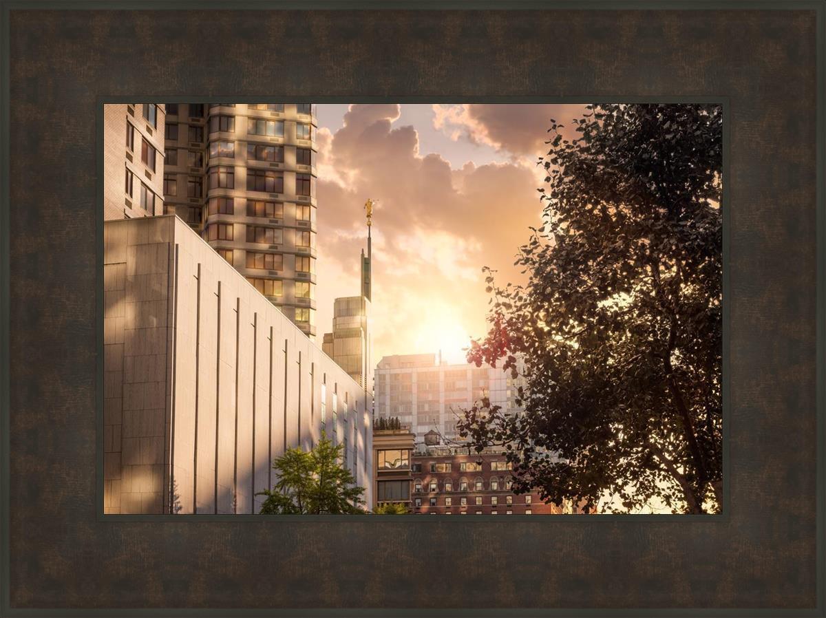 Manhattan Solace
