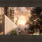 Manhattan Solace