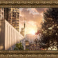 Manhattan Solace