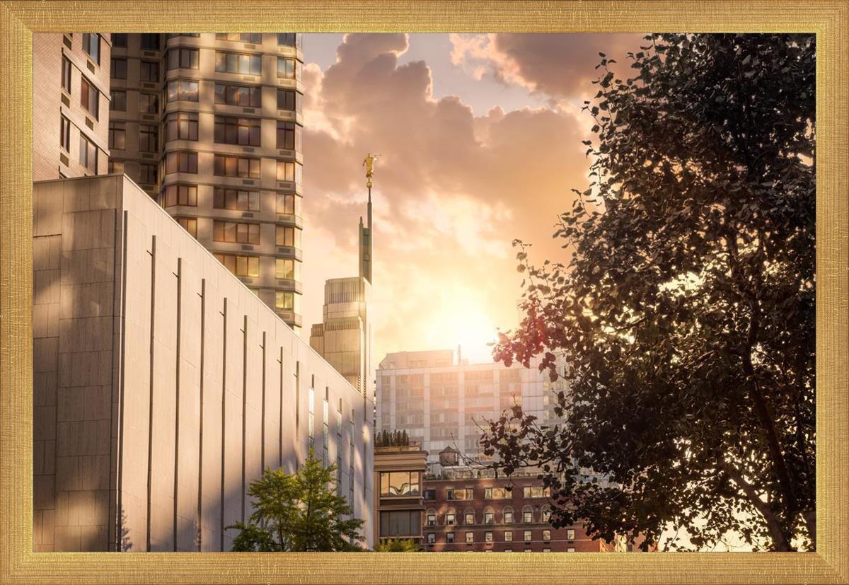 Manhattan Solace