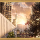 Manhattan Solace