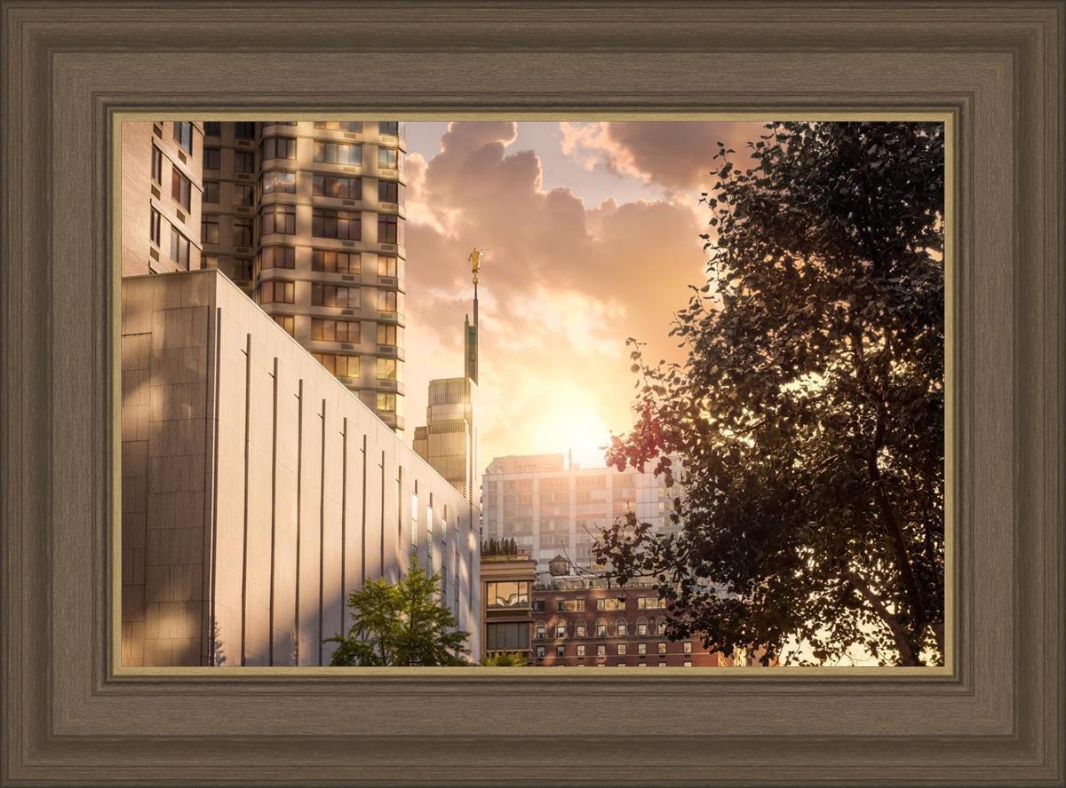 Manhattan Solace