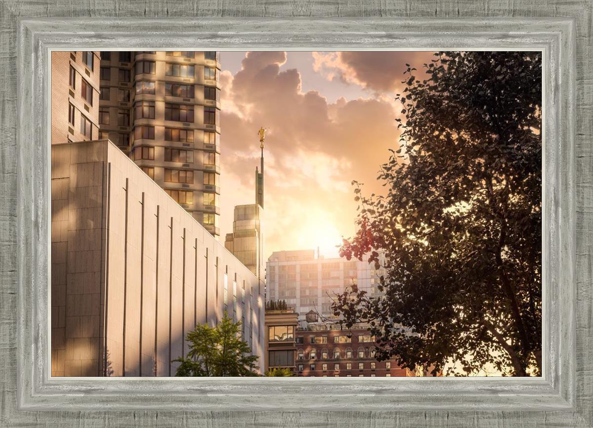 Manhattan Solace