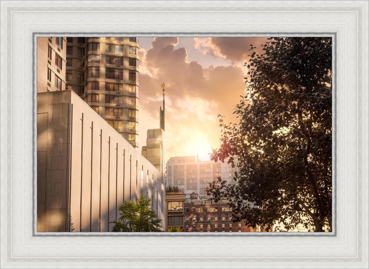 Manhattan Solace