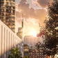 Manhattan Solace