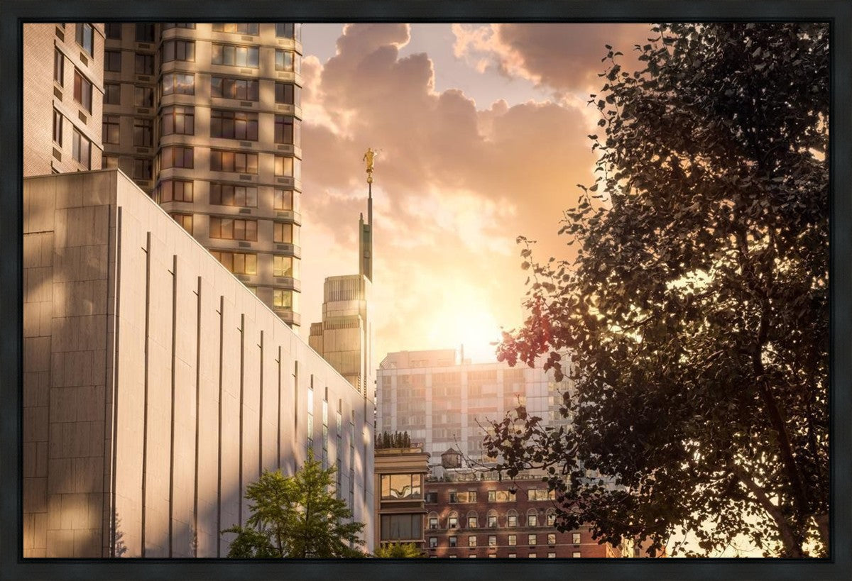 Manhattan Solace