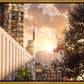 Manhattan Solace