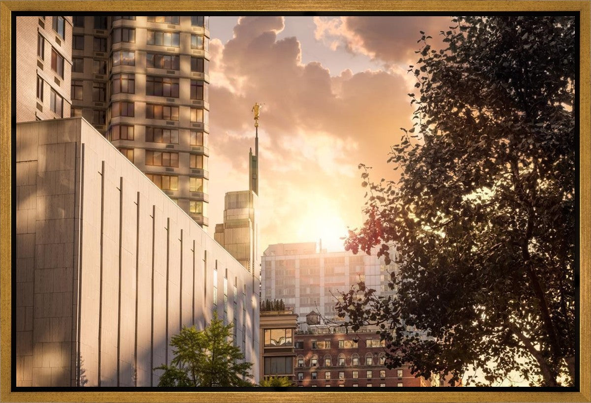 Manhattan Solace