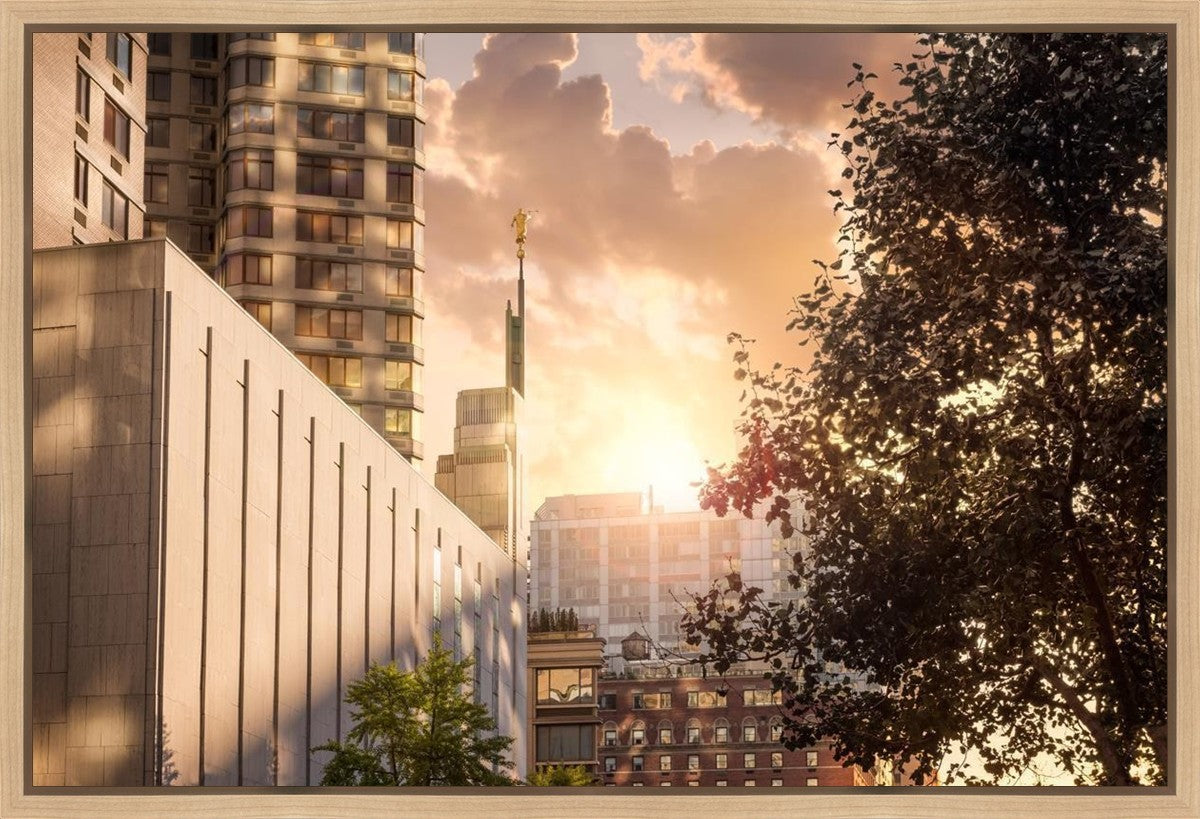Manhattan Solace