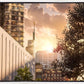 Manhattan Solace
