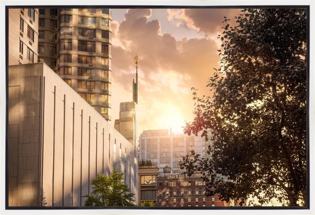 Manhattan Solace