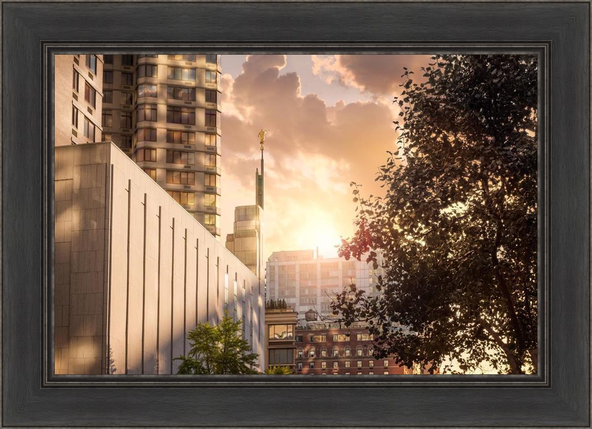 Manhattan Solace