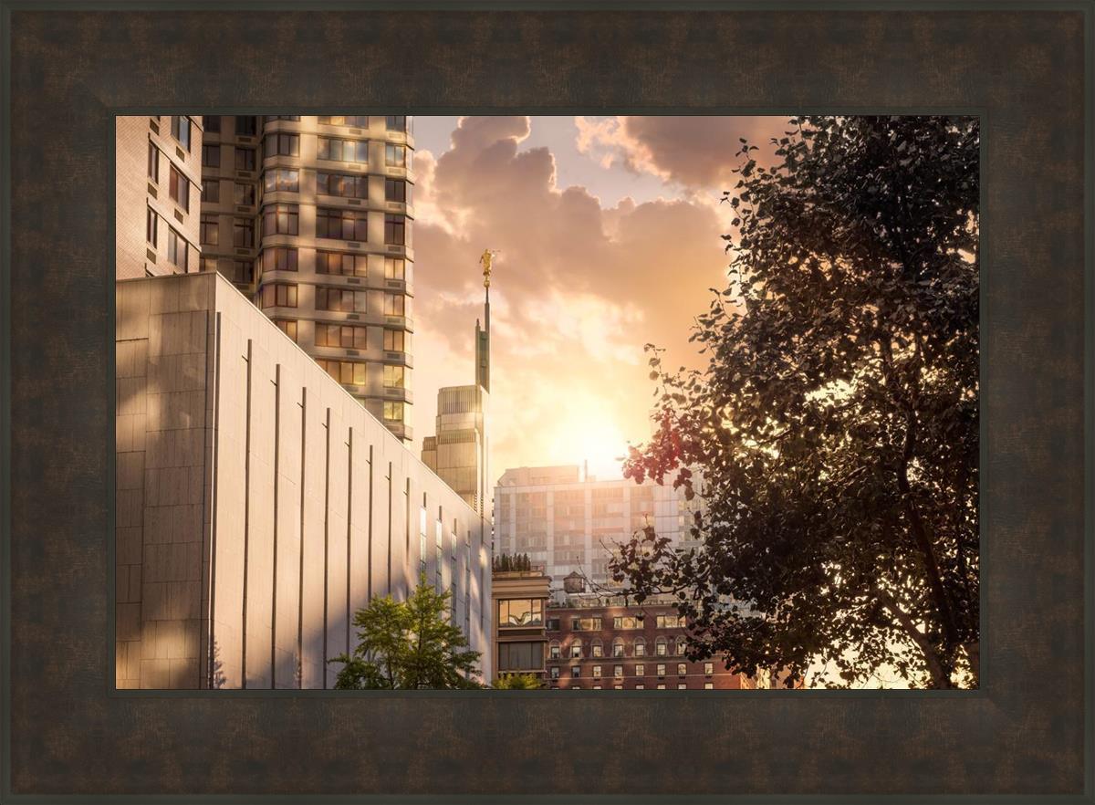 Manhattan Solace