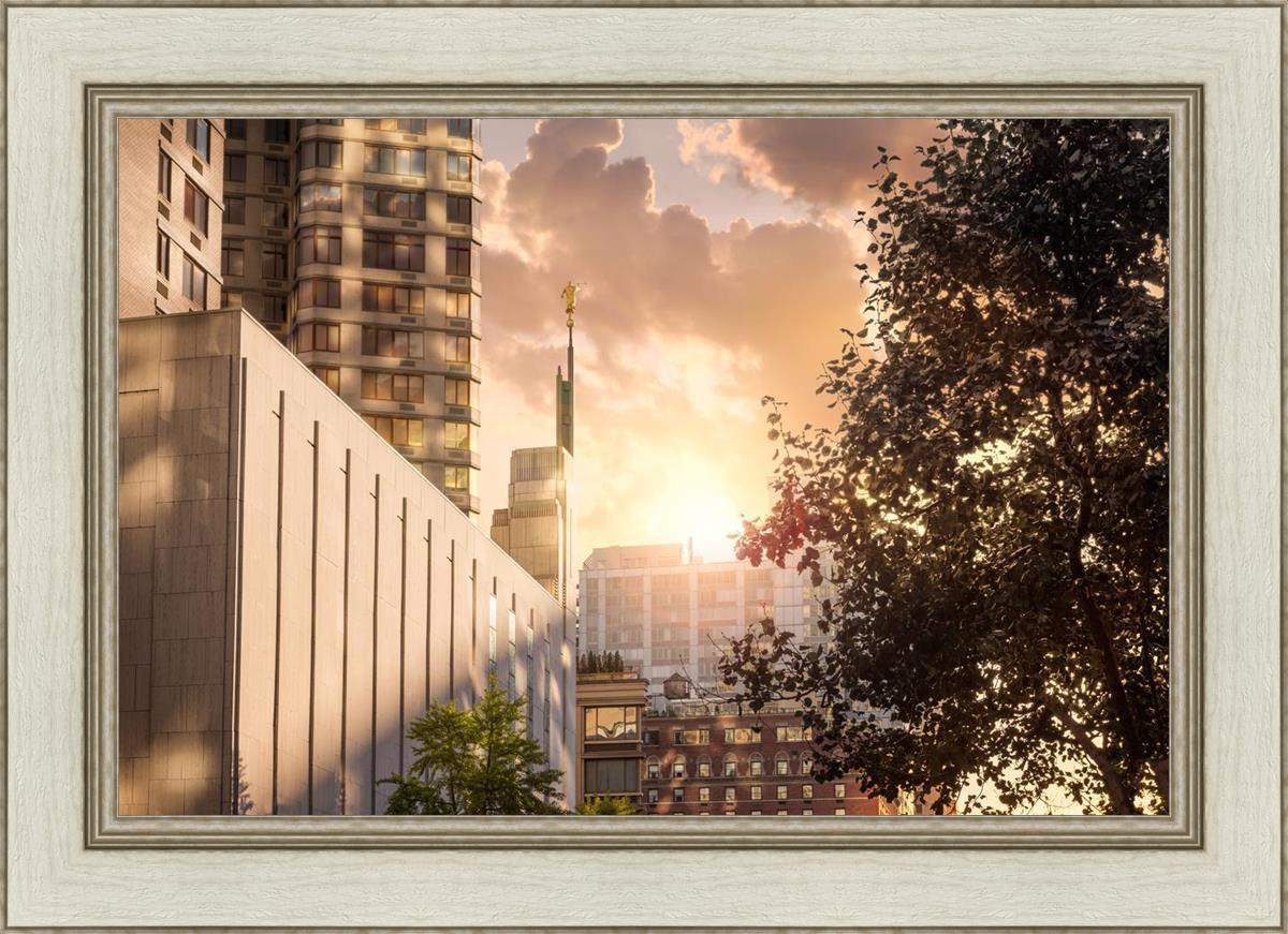 Manhattan Solace