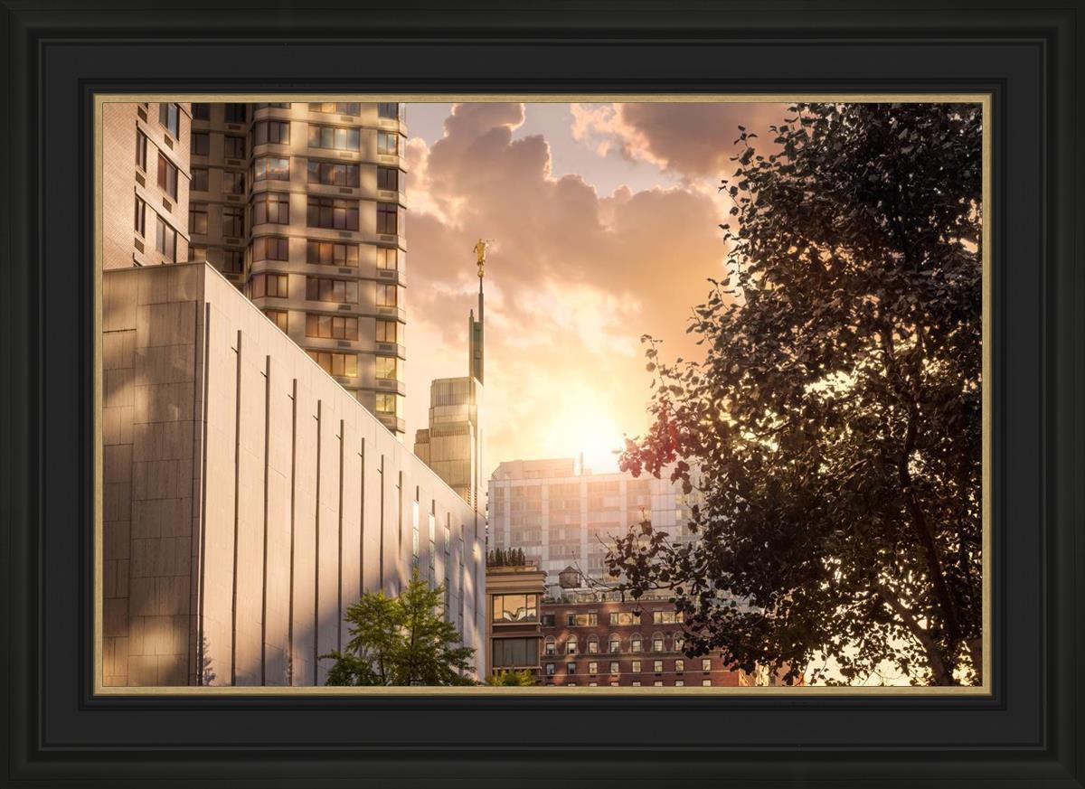 Manhattan Solace