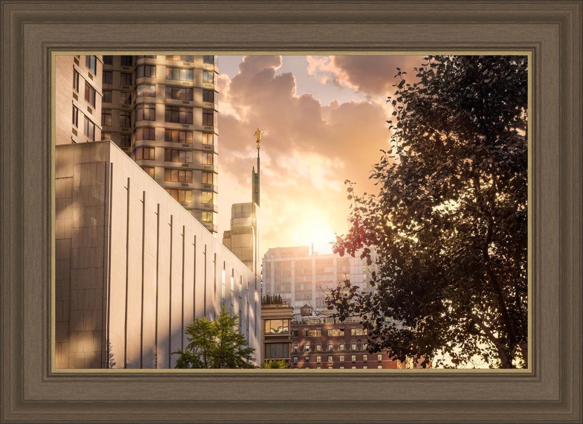 Manhattan Solace
