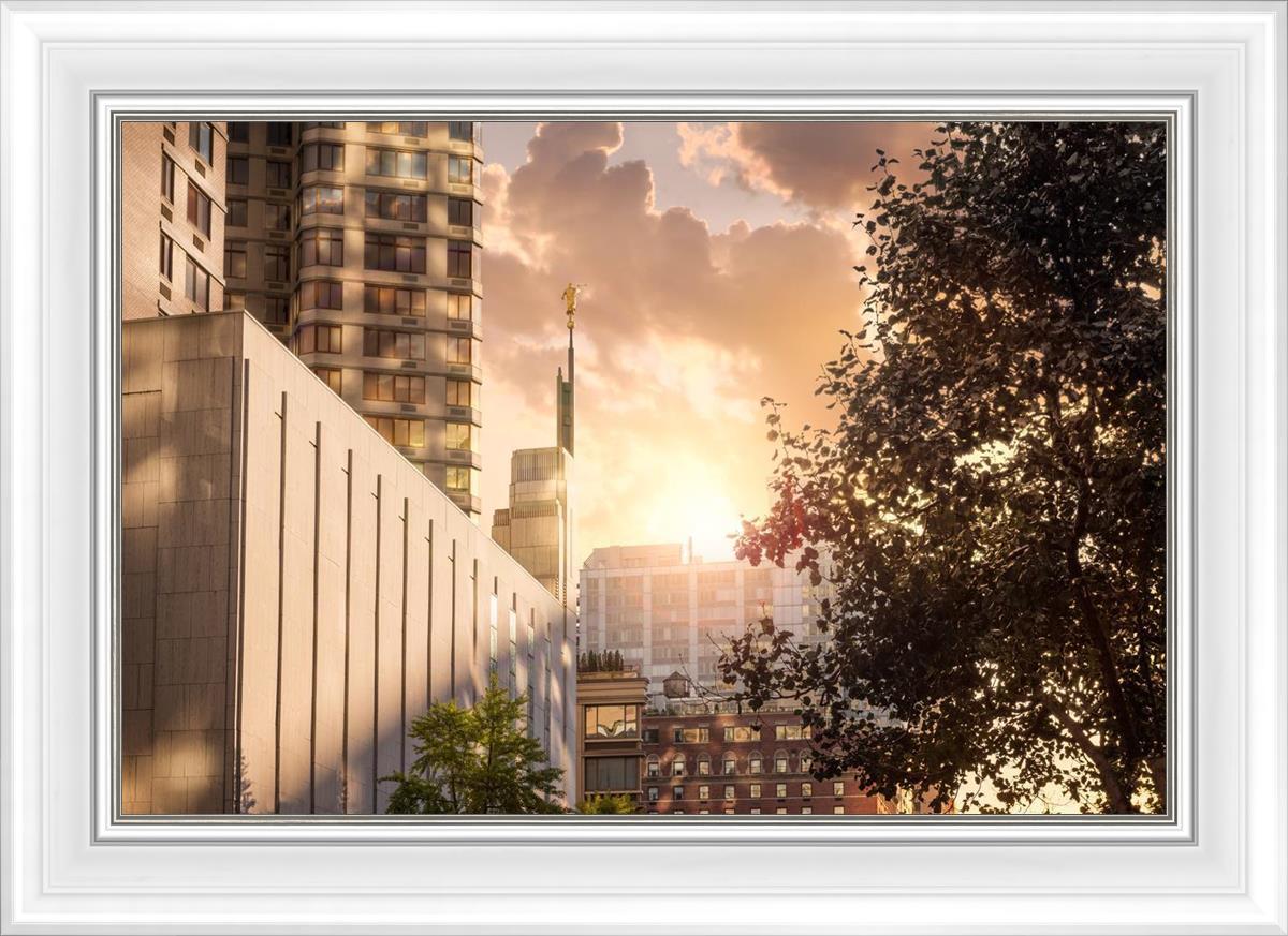 Manhattan Solace