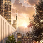 Manhattan Solace