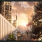 Manhattan Solace