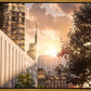 Manhattan Solace