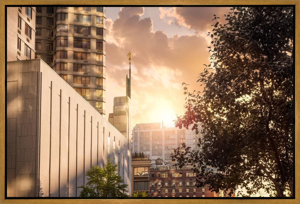 Manhattan Solace