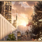 Manhattan Solace