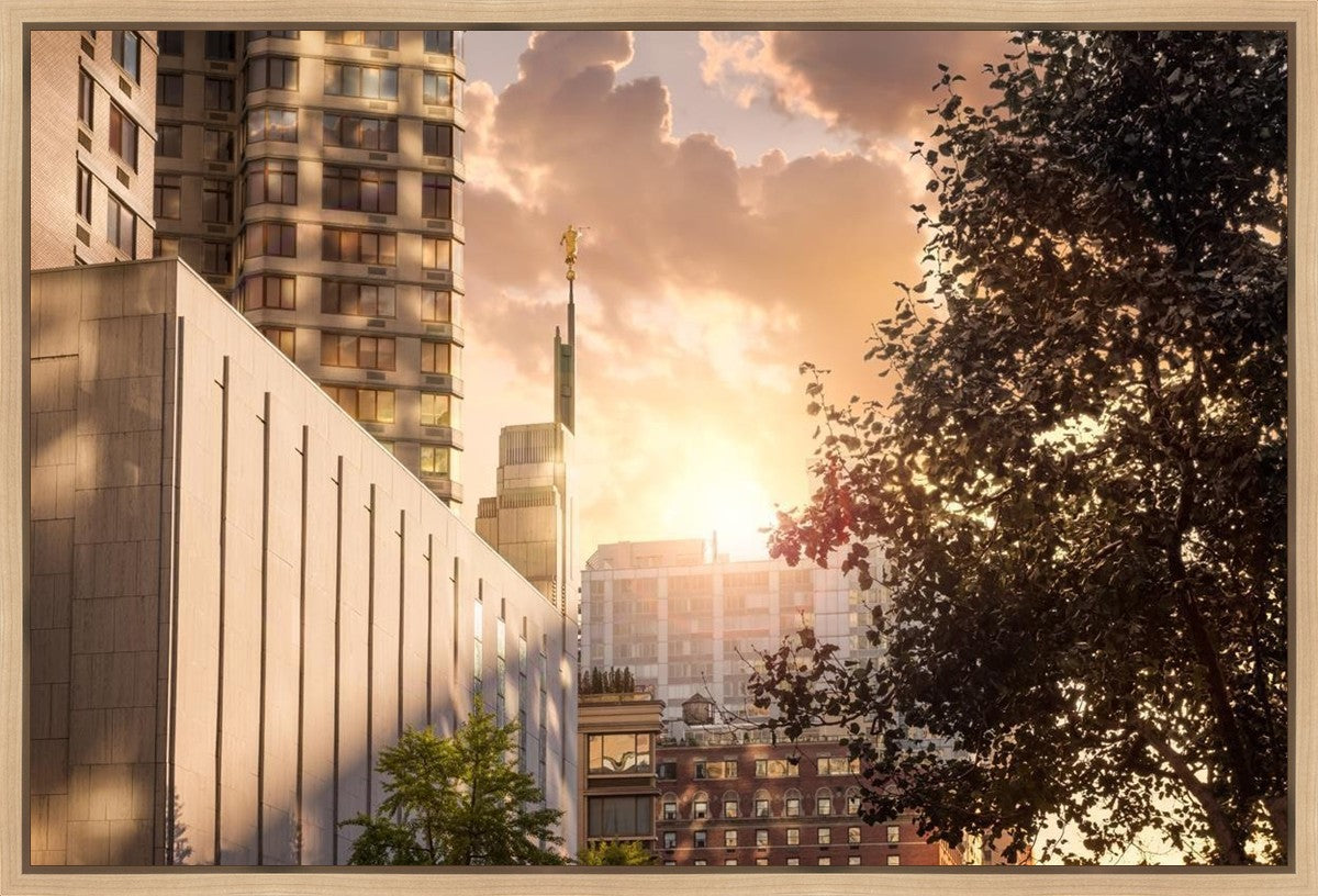 Manhattan Solace