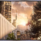 Manhattan Solace