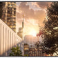 Manhattan Solace