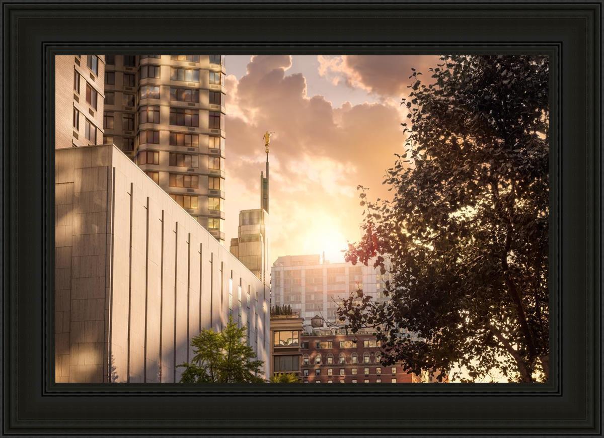 Manhattan Solace