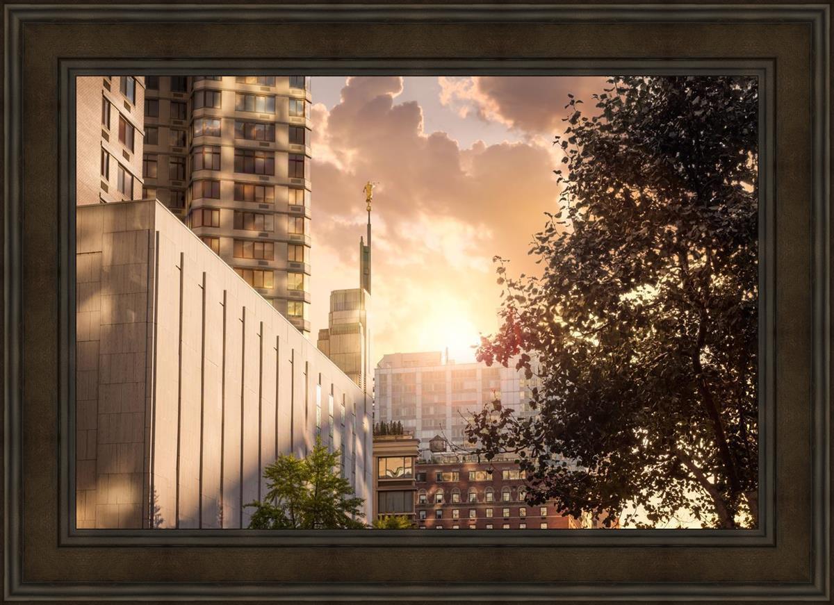 Manhattan Solace