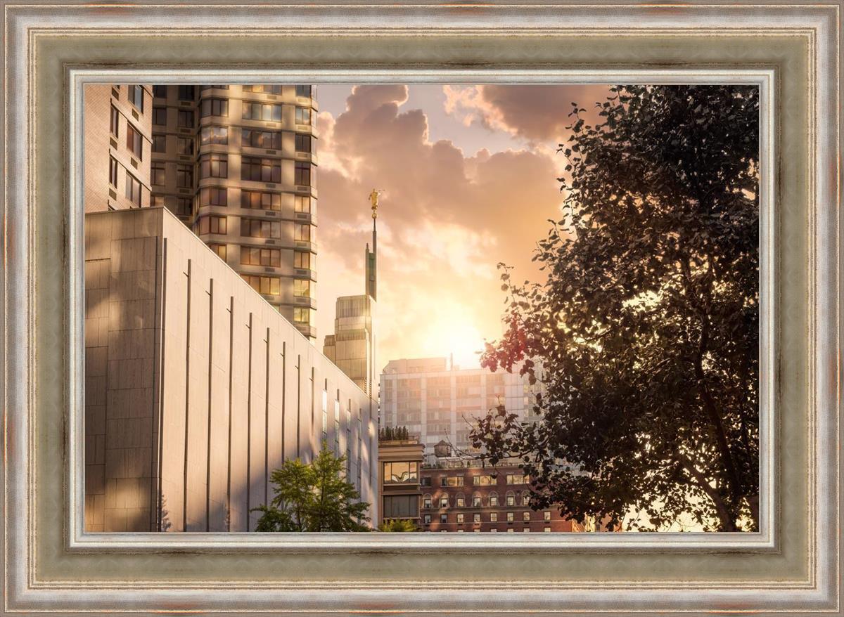 Manhattan Solace