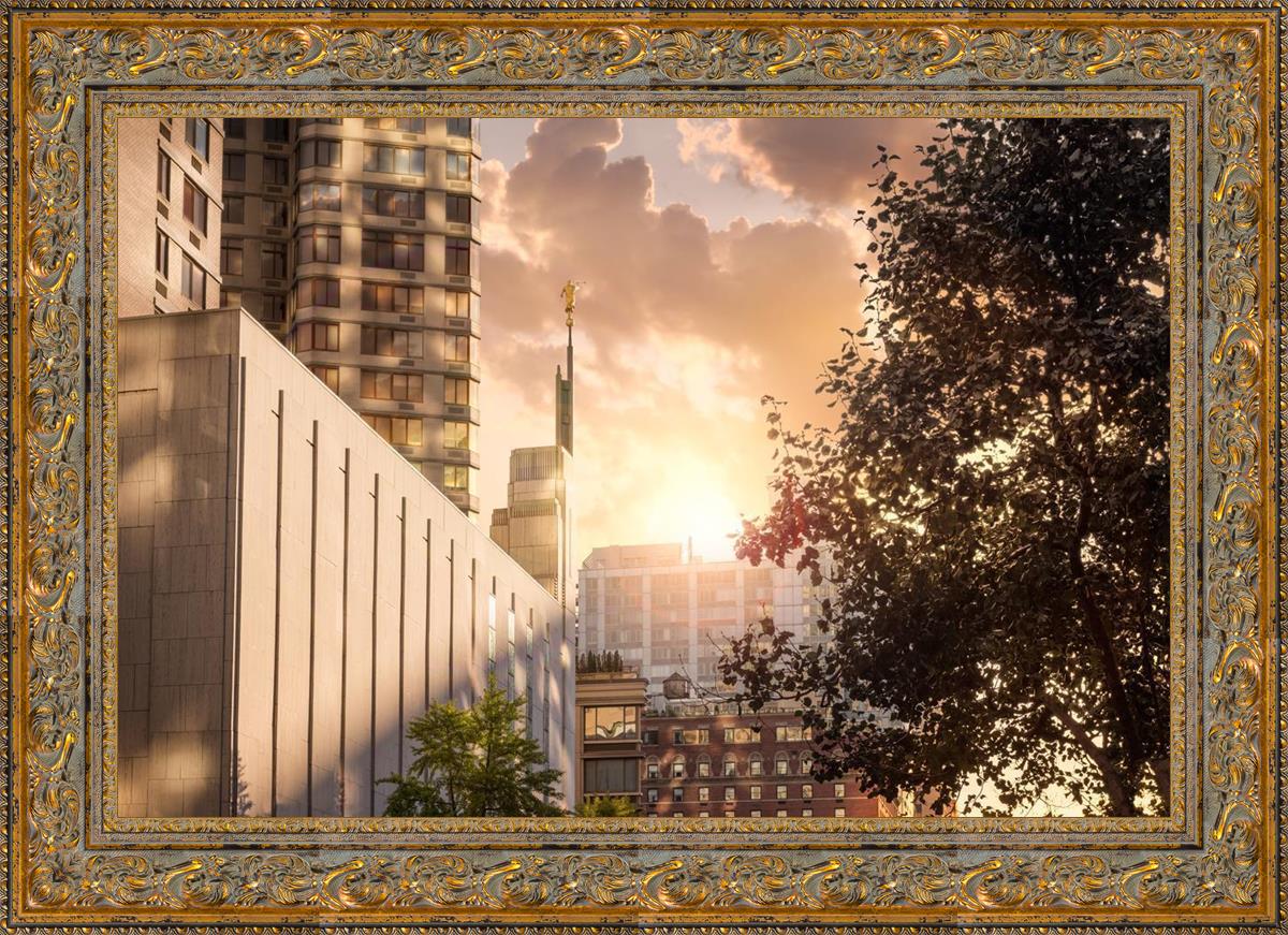 Manhattan Solace