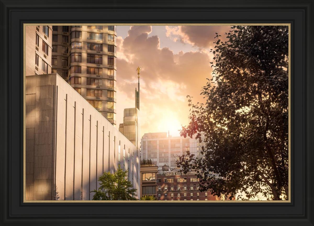 Manhattan Solace