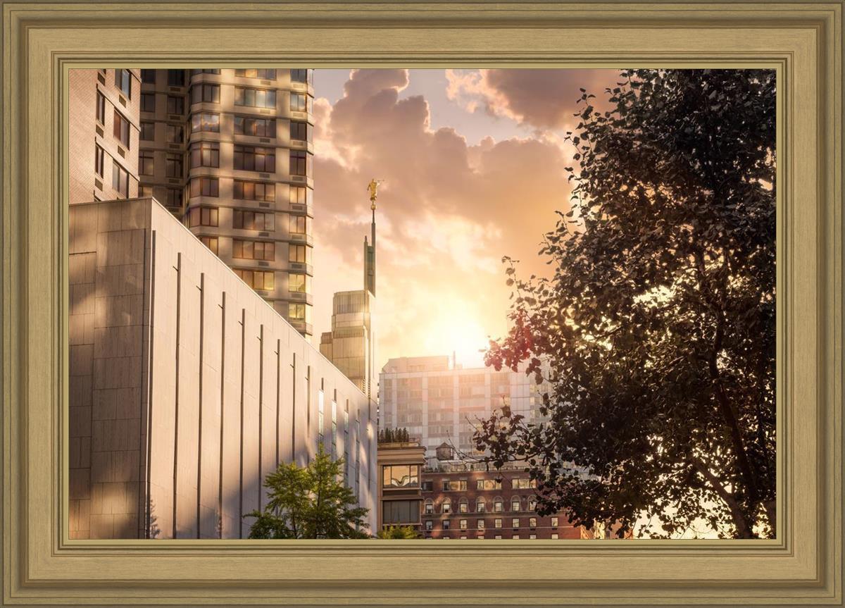 Manhattan Solace