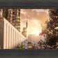 Manhattan Solace