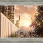Manhattan Solace