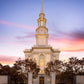 Philadelphia Liberty Skies