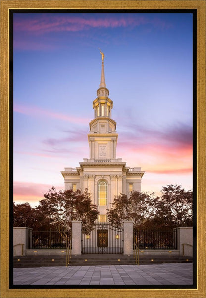 Philadelphia Liberty Skies