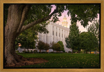 St. George Tree of Life