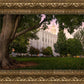 St. George Tree of Life